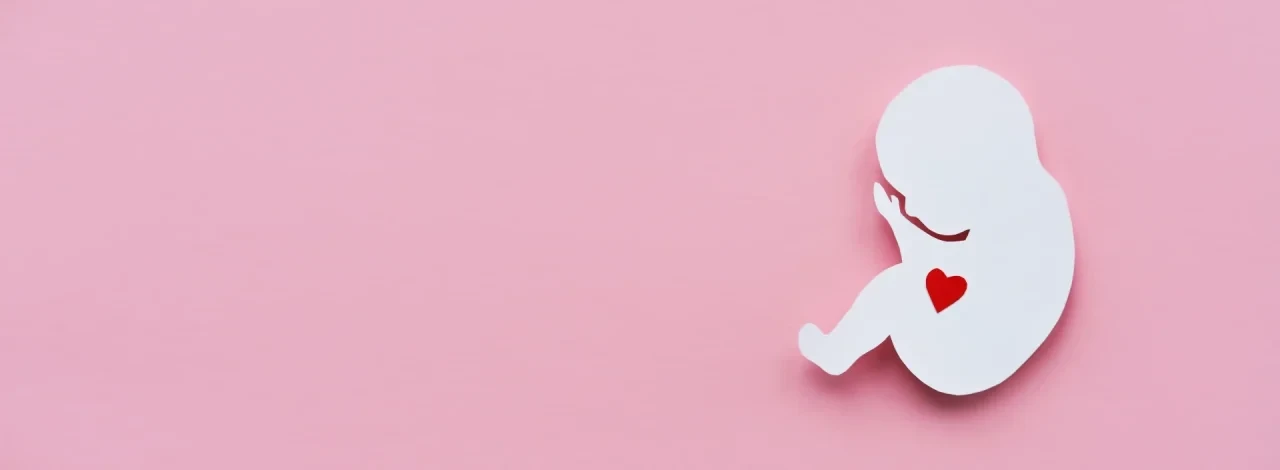 Papier-Silhouette eines Embryos mit rotem Herz vor rosa Hintergrund: Symbolbild für Abtreibung