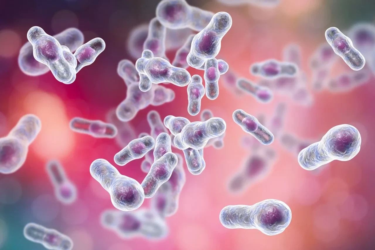 Mikroskopische Darstellung von Clostridioides-difficile-Bakterien