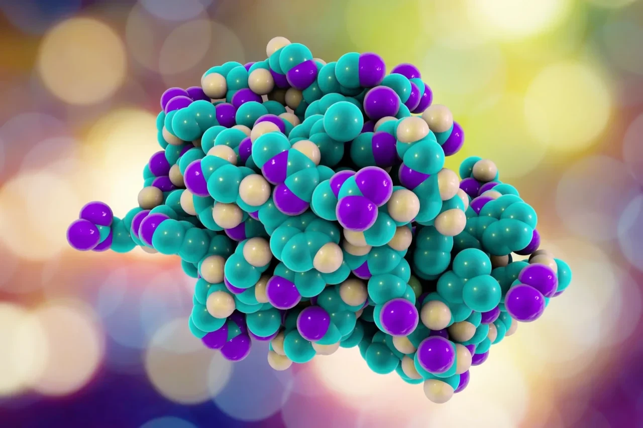 Molekülmodell eines Proteins