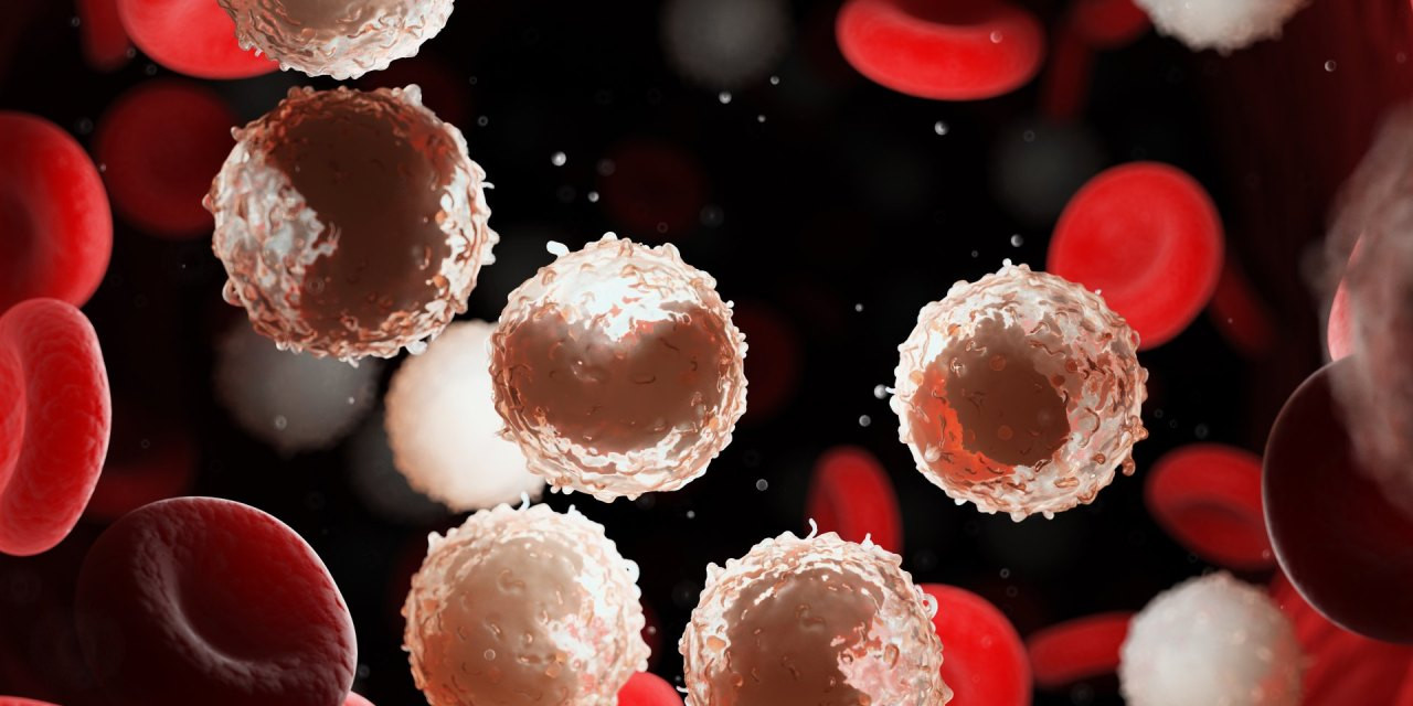 Illustrative 3D‑Darstellung von Lymphozyten im Blut bei chronischer lymphatischer Leukämie (CLL)