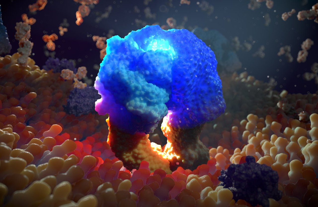 Cancer cell receptor on the cell surface on the bi lipid membrane layer front view
