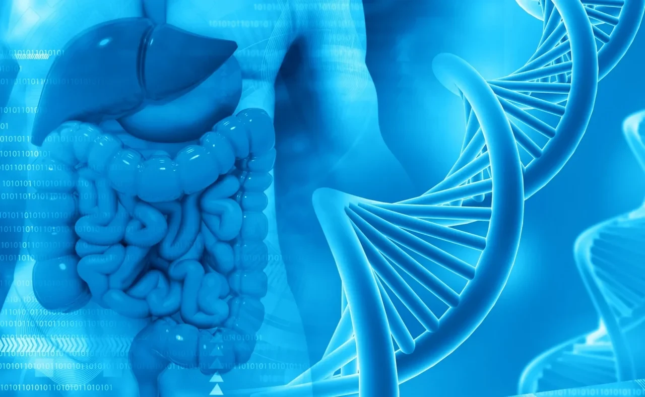 Darmtrakt mit DNA-Doppelhelix vor blauem Hintergrund