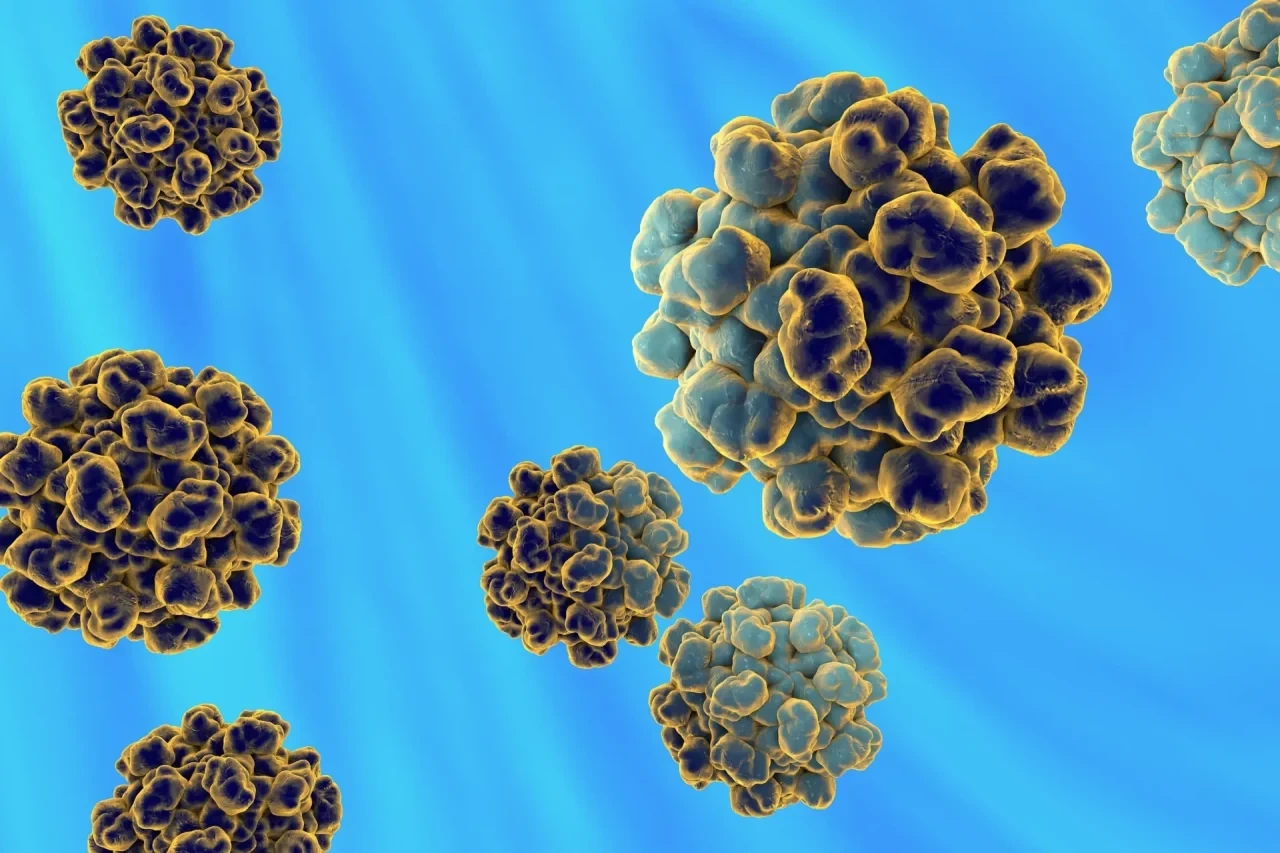 Elektronenmikroskopische Darstellung von Hepatitis-E-Viren