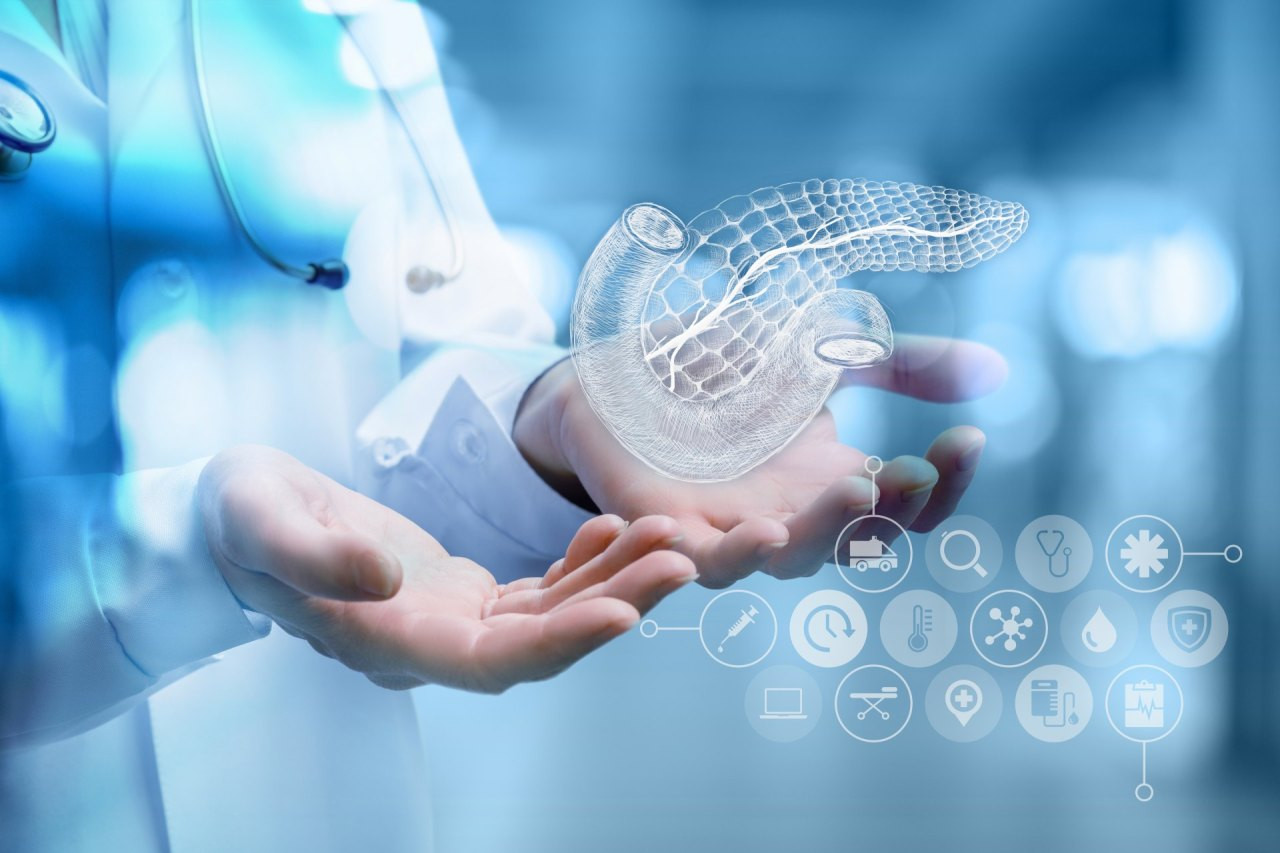 Eine medizinische Fachperson hält eine transparente, digital dargestellte Bauchspeicheldrüse in den Händen; darunter liegen holografische Symbole und Daten