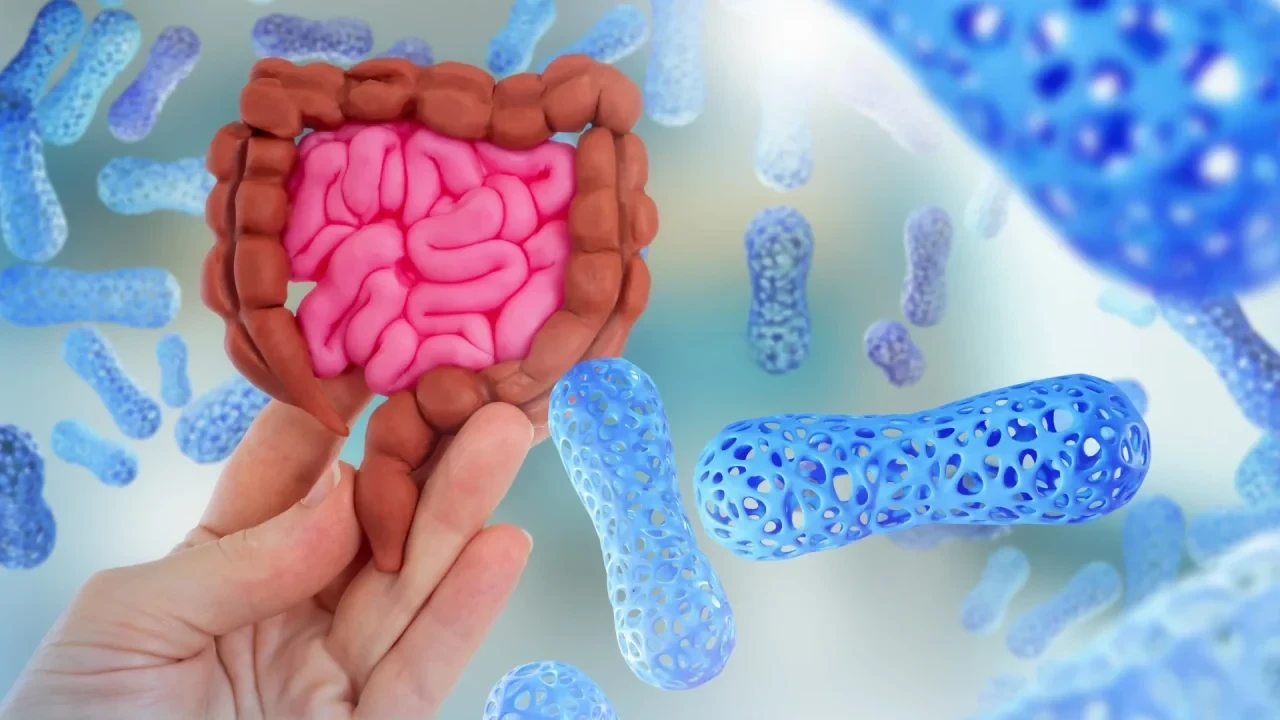 Darmmikrobiom mit Bakterien im Hintergrund