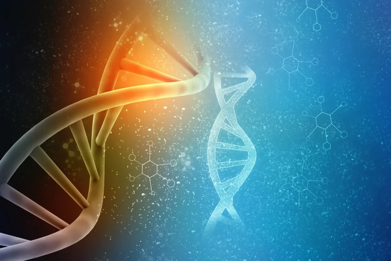 DNA-Doppelhelix vor blau-orangem Hintergrund