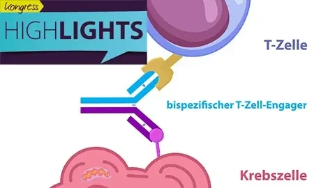 Schematische Darstellung eines bispezifischen T-Zell-Engagers (BiTE)
