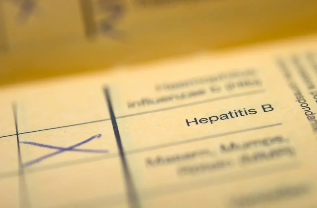 Der Schriftzug "Hepatitis B" in einem Impfpass, aufgenommen am 09.06.2015 in Stuttgart