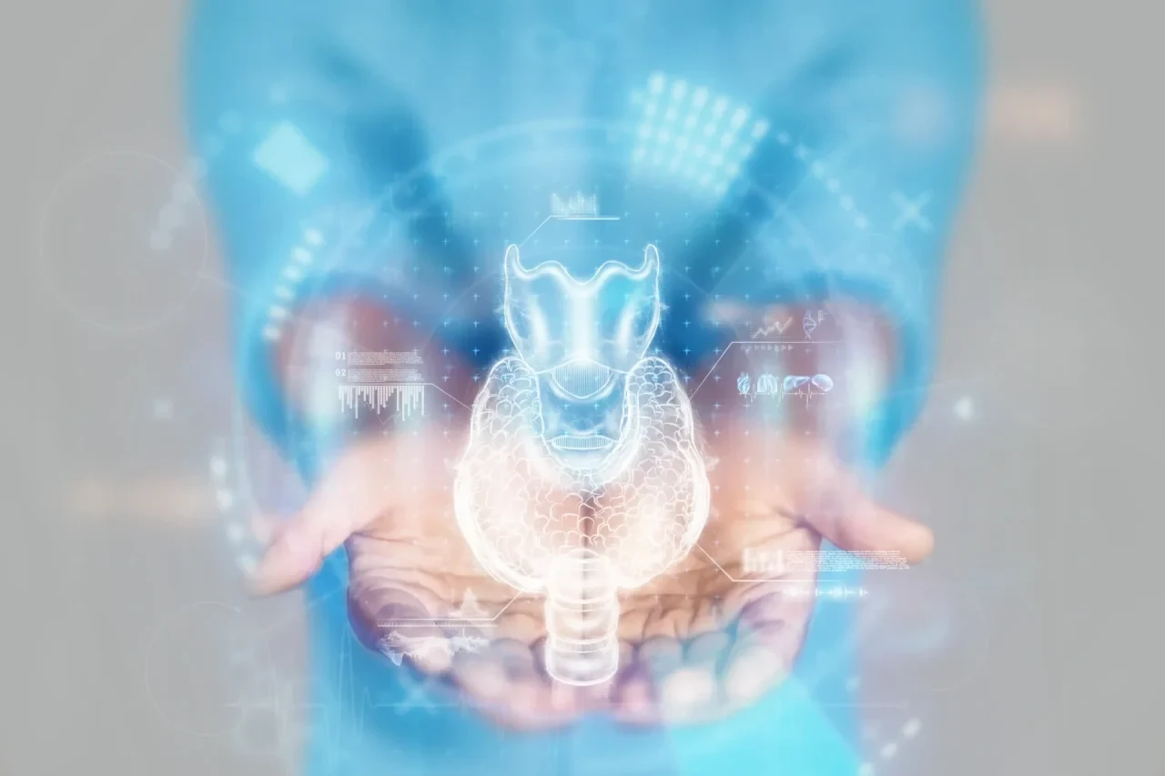Holografische 3D-Darstellung der Schilddrüse und Nebenschilddrüsen über den ausgestreckten Händen einer Person in medizinischer Kleidung.