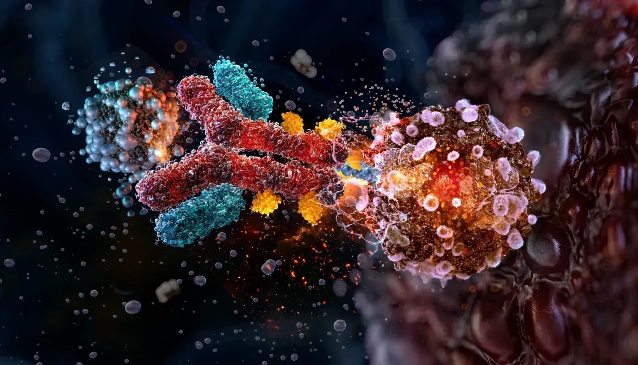 3D-Illustration eines Antikörper-Drug-Konjugats, das an eine Tumorzelle bindet und seine zytotoxische Payload freisetzt