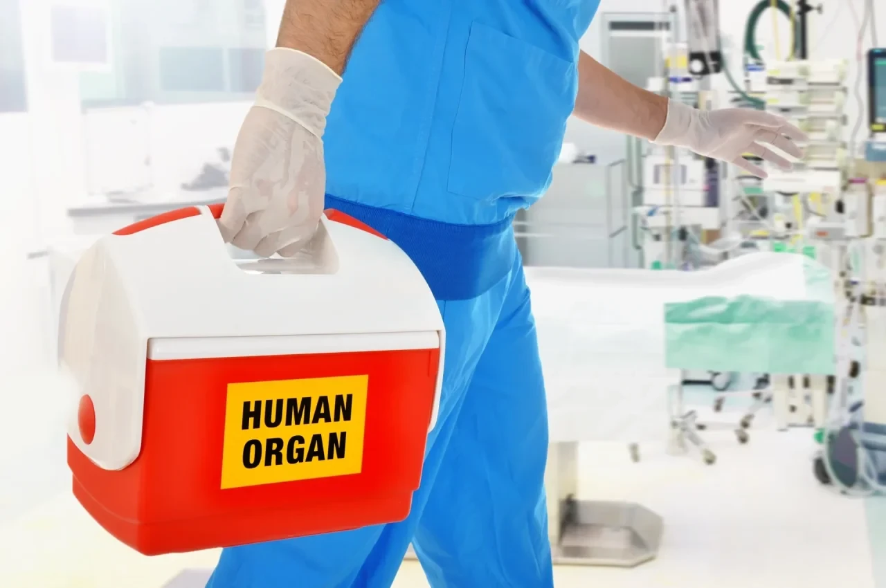 Transplantation und Organspende