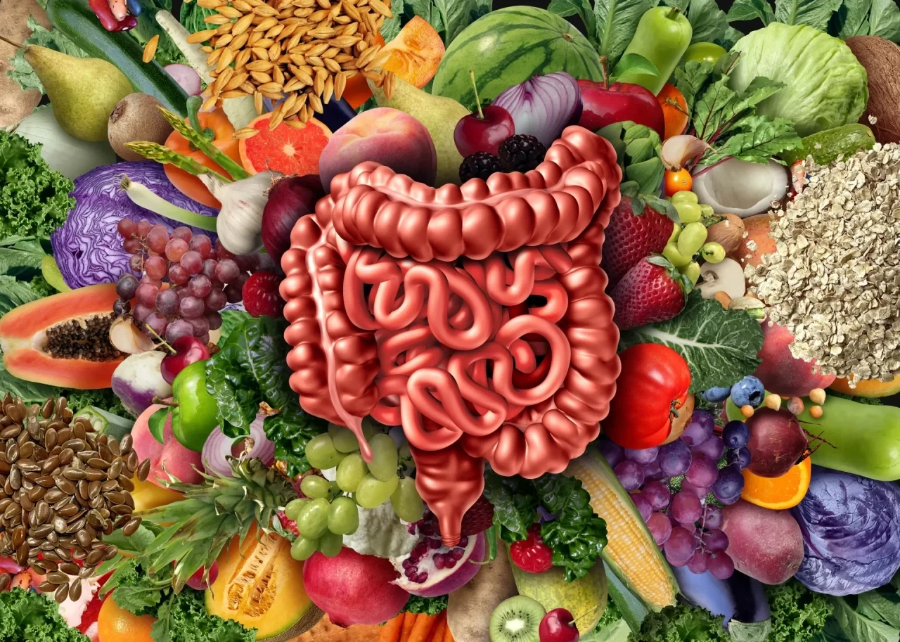 Zentral platzierte grafische Darstellung des menschlichen Darms, umgeben von verschiedenen ballaststoffreichen Lebensmitteln wie Haferflocken, Kohl, Salat, Äpfeln, Trauben, Beeren, Mais, Leinsamen sowie weiterem Obst und Gemüse.