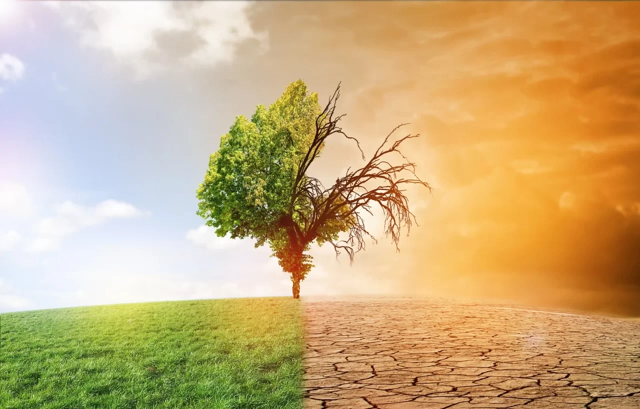 Ein einzelner Baum steht auf einer Landschaft, die in zwei Hälften geteilt ist: Links grünes Gras und heller Himmel, rechts ausgetrockneter Boden mit orangefarbenem Himmel. Das Bild visualisiert gegensätzliche Umwelt- und Wetterbedingungen.