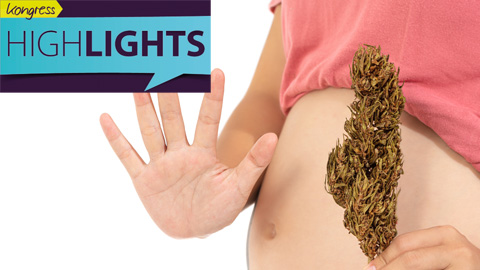 Cannabis & Schwangerschaft: Risiken für die Fruchtbarkeit