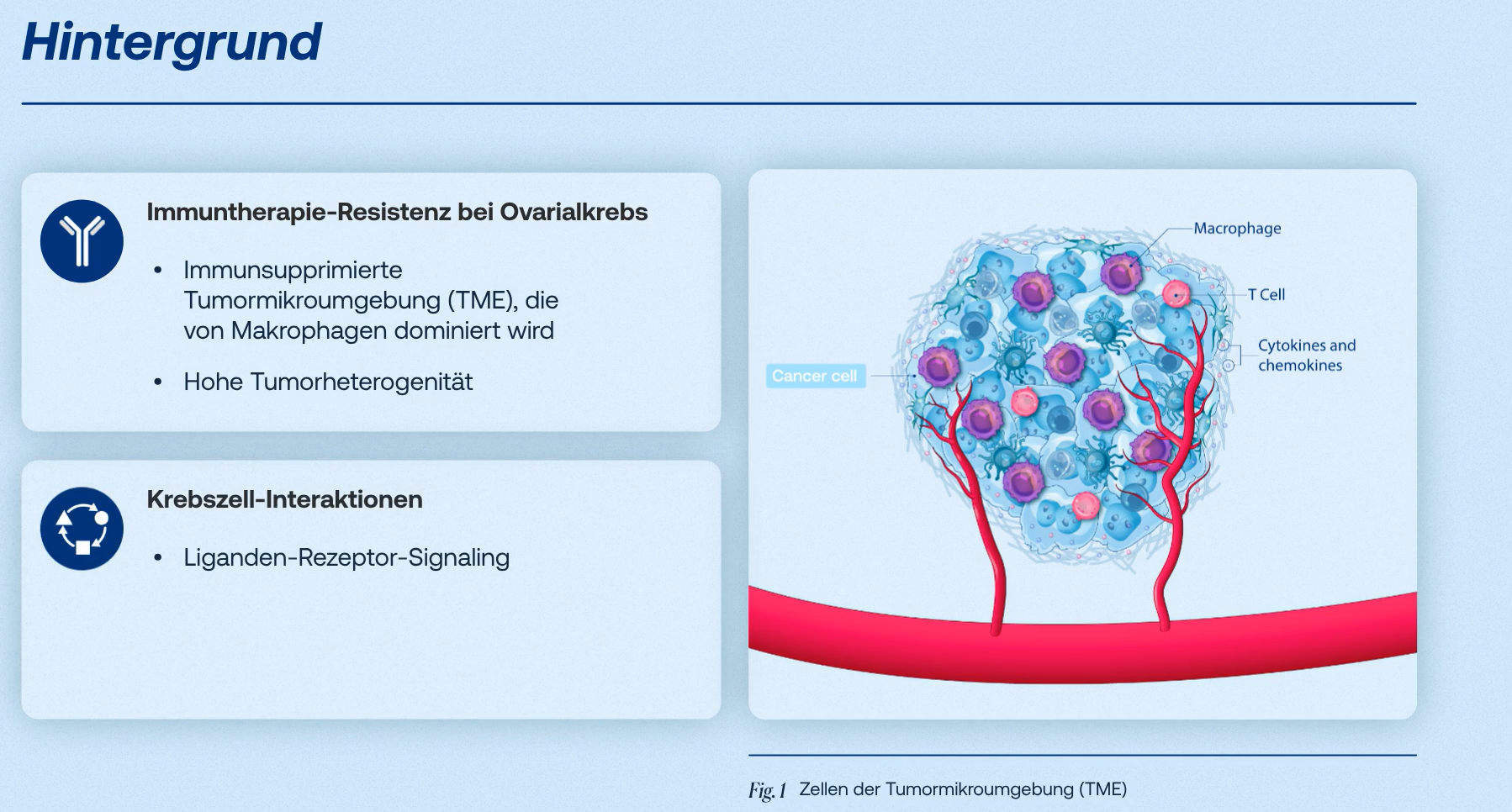 IL-4 blockiert Immunabwehr bei Ovarialkrebs