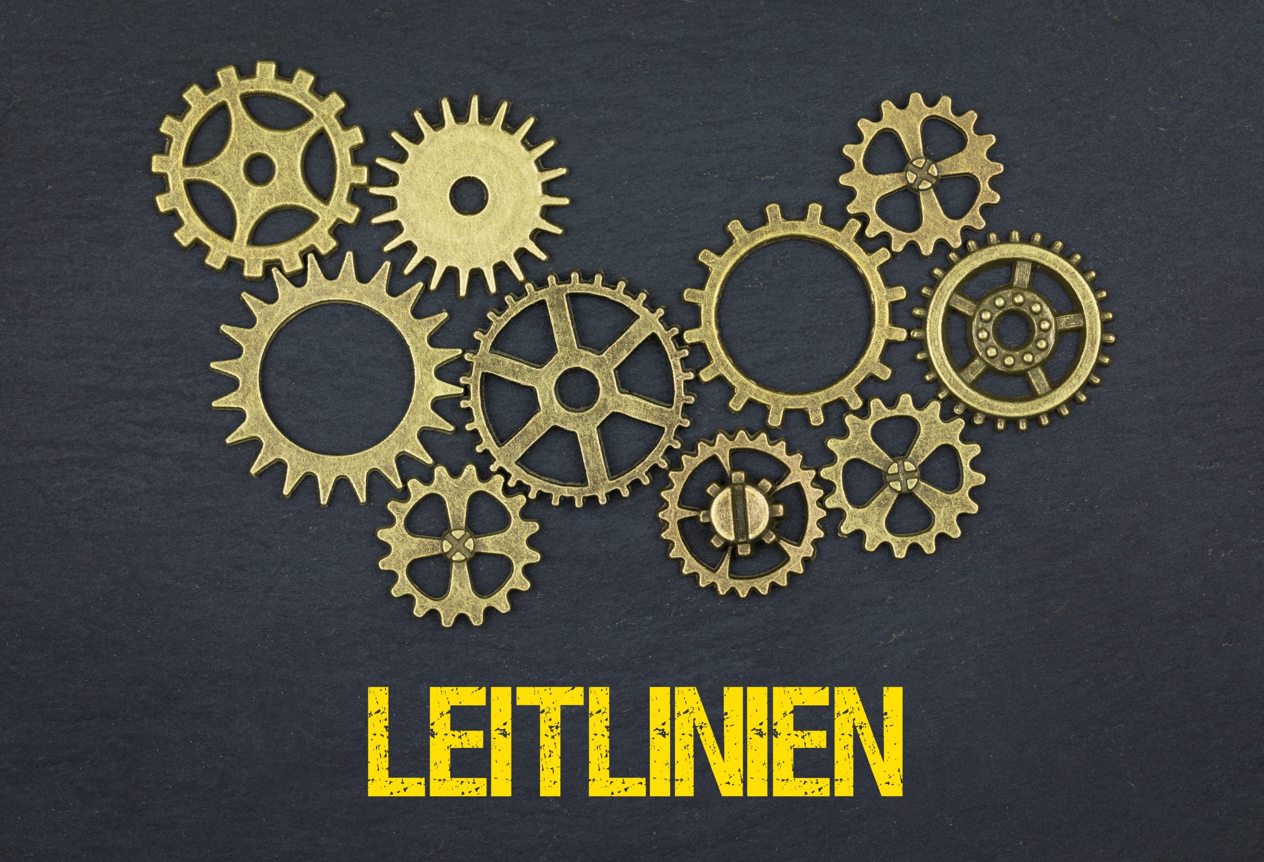 Leitlinien Hub: Smarte Navigation in der Onkologie
